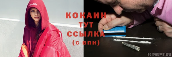 прущие грибы Ессентукская